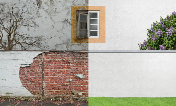 Best Real Estate Mold Inspection  in Lakeland Village, CA